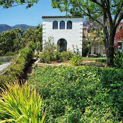 Residential Landscape